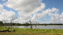 Selous Game Reserve, Tanzania