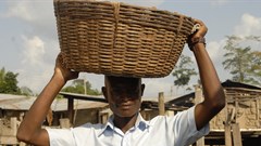 SACAU calls for African governments to invest in agricultural transformation