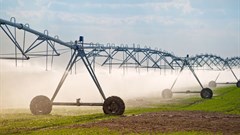 Land reform and hunger in South Africa: Why the two go hand in hand