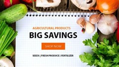 Zambia's eMsika helping farmers buy agricultural inputs