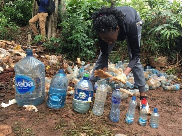 Image source: Greenpeace