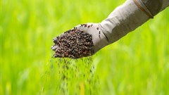 Zimbabwe youths champion organic fertiliser in new social venture