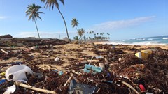 TCC plans to ban single-use plastics from all operations