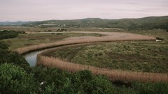 Ultimate romance at Emily Moon River Lodge