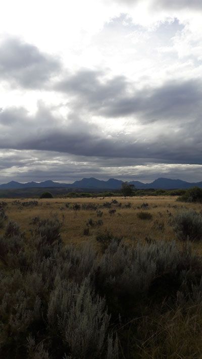 Unique game viewing with Gondwana's new mountain bike trails