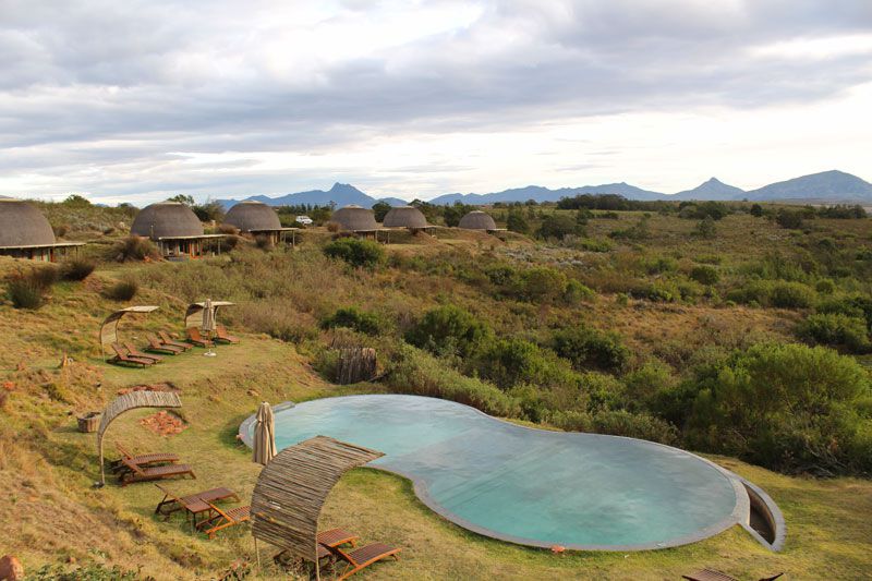 Unique game viewing with Gondwana's new mountain bike trails