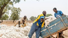 Ewien van Bergeijk - Kwant via