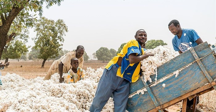 Ewien van Bergeijk - Kwant via