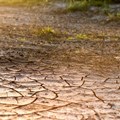 FAO calls for greater resilience against drought in Africa