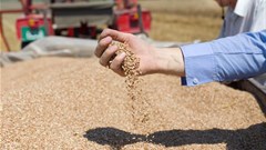 Agribusiness Confidence Index: SA agribusiness remains optimistic albeit index decline