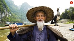 Scene from Origins documentary, The Art of Fishing With Birds. Image supplied.