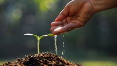 EU Council emphasises FAO's role in sustainable food, agricultural practices