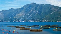 SA fishing industry broadens on BBEEE transformation