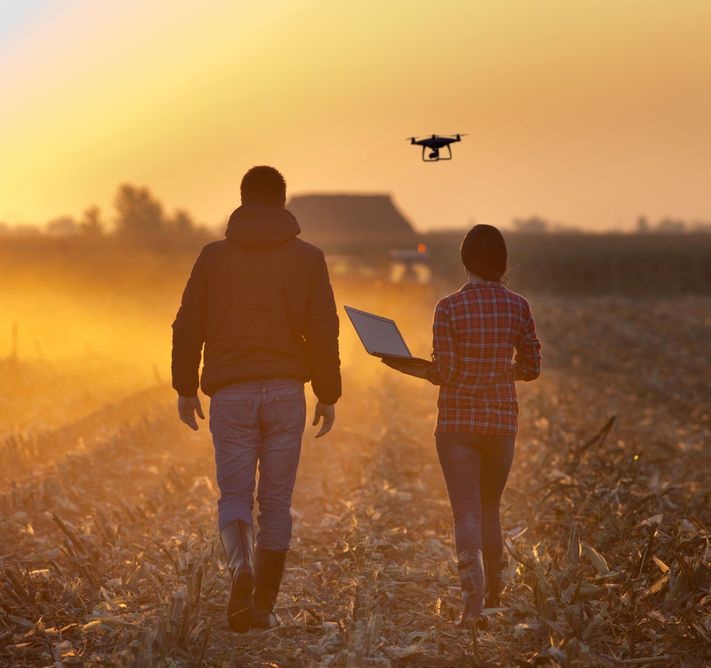 Why agribusinesses see IoT data security as a challenge