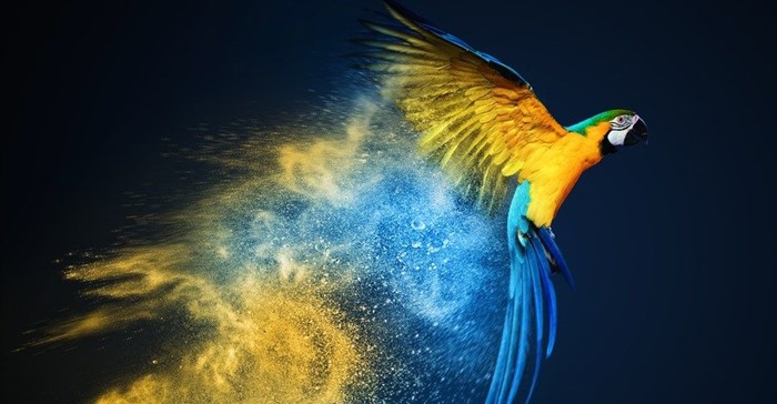 Wan-Ifra's International Color Quality Club 2018-2020 winners