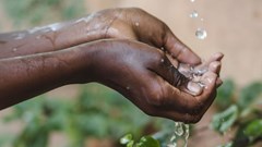 Climate-friendly initiatives and actions essential for tourism - UNWTO