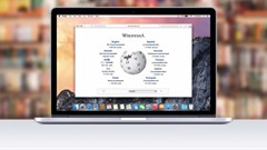 (c) Aleksey Boldin -