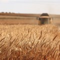 #AgriMarkets: South-western parts of SA could receive above normal rainfall