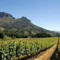 Cape Wine 2018 centre for SA wine producer talent, expertise