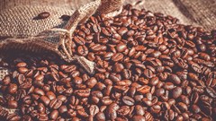 Four million coffee seedlings distributed to farmers