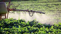 Why it's time to curb widespread use of neonicotinoid pesticides