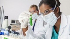 New partnership to boost drug discovery for malaria, TB and more in Africa