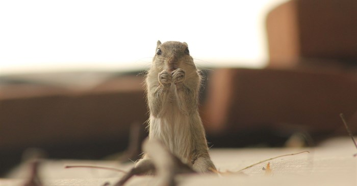 When the going gets tough, the tough get railing