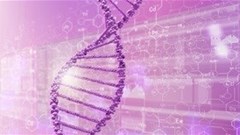 How consumer trends are transforming executive DNA