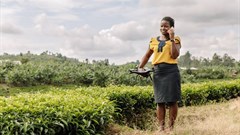 AWIEF's #Value4Her programme is empowering women agri-entrepreneurs in Africa