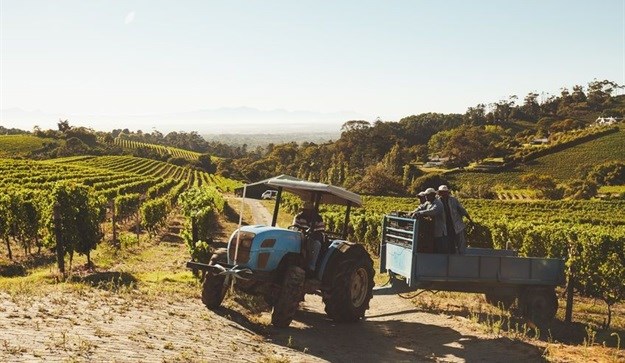 Traditional land not affected by Section 25 amendment