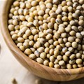 #AgriMarkets: Soya bean remains at the heart of US-China trade war