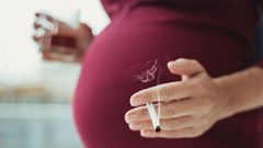 Safe Passage Study links drinking and smoking with stillbirths and Sids