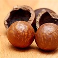 The empowering impact of macadamia trading on the SA economy