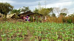 Kenya's Apollo Agriculture secures $500k funding