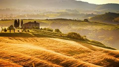 Expropriation without compensation: Is it negatively affecting investment for SA agriculture?