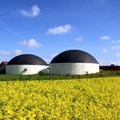 Maximising profitability of biogas plants