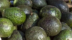 Avocados with edible anti-spoilage coating hit US stores