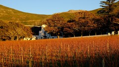 Good things happen in 3s - just ask Groot Constantia