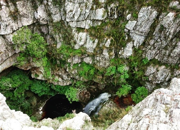 Get high: Why Elgin's Cape Canopy tour is bucket list worthy