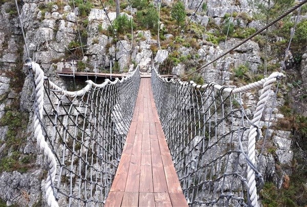 Get high: Why Elgin's Cape Canopy tour is bucket list worthy