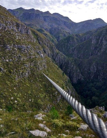 Get high: Why Elgin's Cape Canopy tour is bucket list worthy