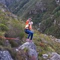 Get high: Why Elgin's Cape Canopy tour is bucket list worthy