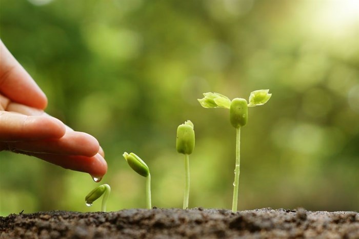 AIU secures R150m Cape agribusiness investment