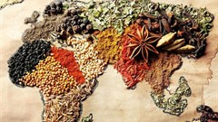 AfCFTA phase 11 negotiations ahead