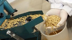 The feed processors' approach to salmonella