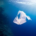 Plastic pollution: could we clean up the ocean with technology?