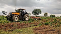CIAT, Alluvial partnership scales up Nigerian agritech innovation