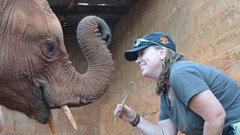 All-women conservation expedition to 'journey with purpose' across southern Africa