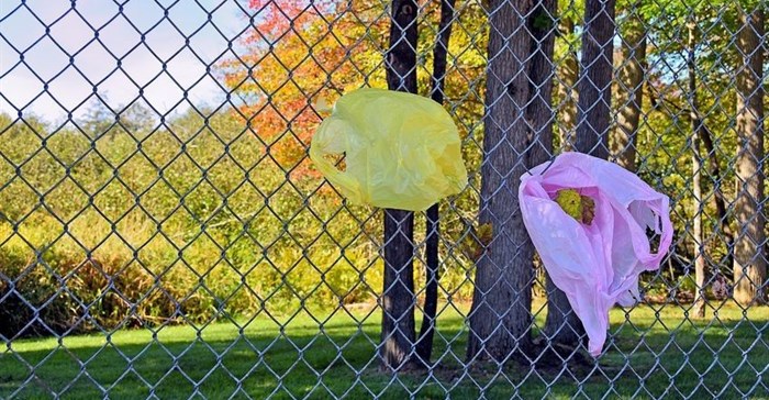 Why compostable plastics may be no better for the environment