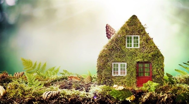 Eco-homes: Building materials of the future